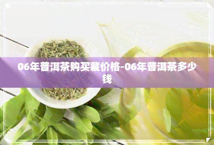 06年普洱茶购买藏价格-06年普洱茶多少钱