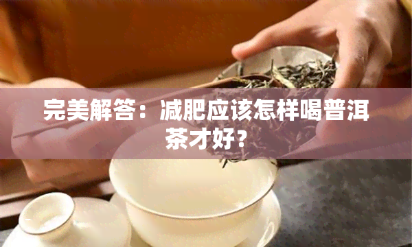 完美解答：减肥应该怎样喝普洱茶才好？