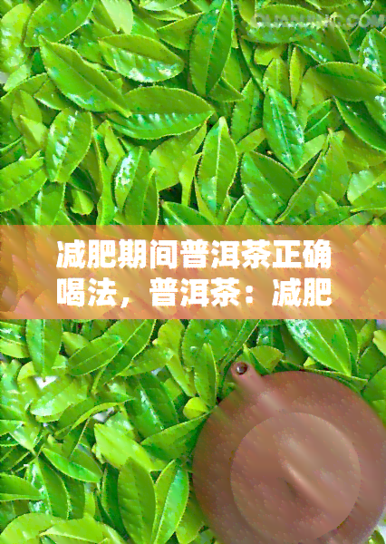 减肥期间普洱茶正确喝法，普洱茶：减肥期间的正确饮用方法