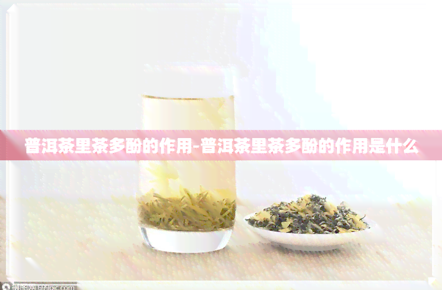 普洱茶里茶多酚的作用-普洱茶里茶多酚的作用是什么