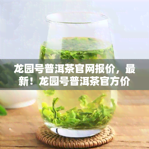 龙园号普洱茶官网报价，最新！龙园号普洱茶官方价格一览