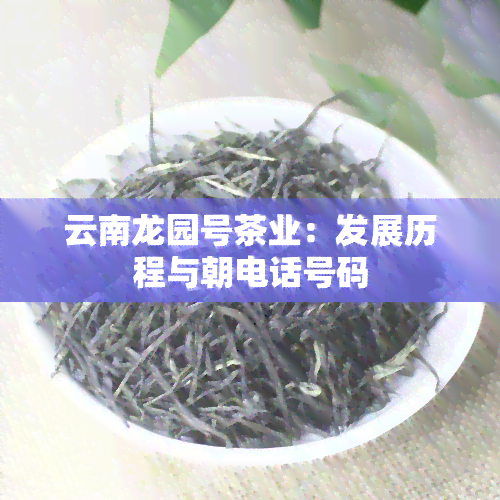 云南龙园号茶业：发展历程与朝电话号码