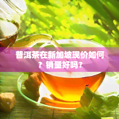 普洱茶在新加坡现价如何？销量好吗？