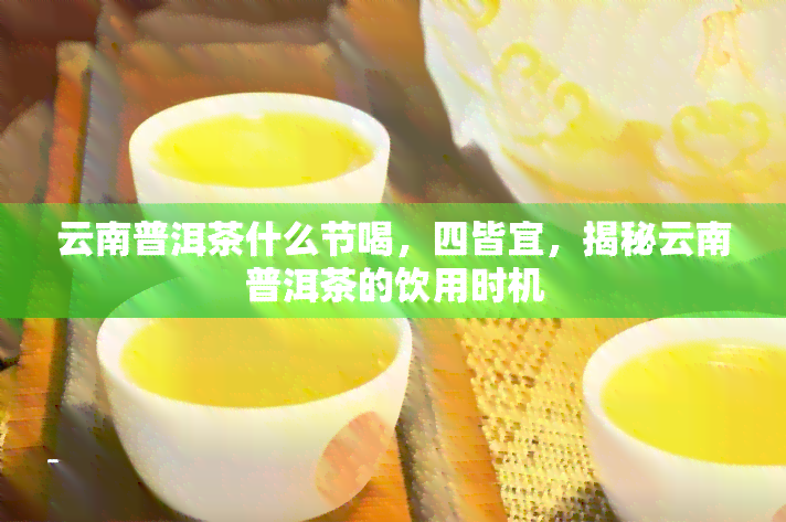 云南普洱茶什么节喝，四皆宜，揭秘云南普洱茶的饮用时机