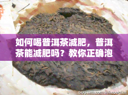 如何喝普洱茶减肥，普洱茶能减肥吗？教你正确泡饮方法！