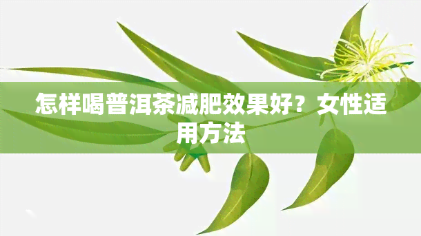 怎样喝普洱茶减肥效果好？女性适用方法