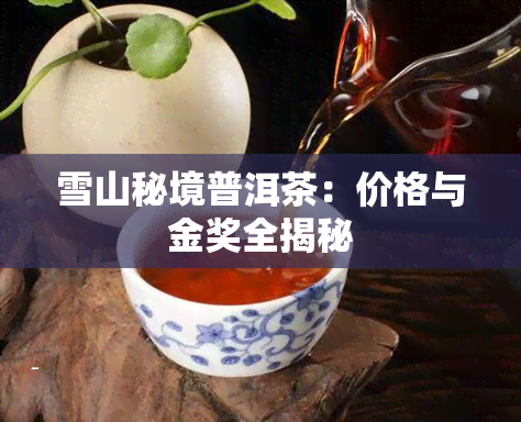 雪山秘境普洱茶：价格与金奖全揭秘