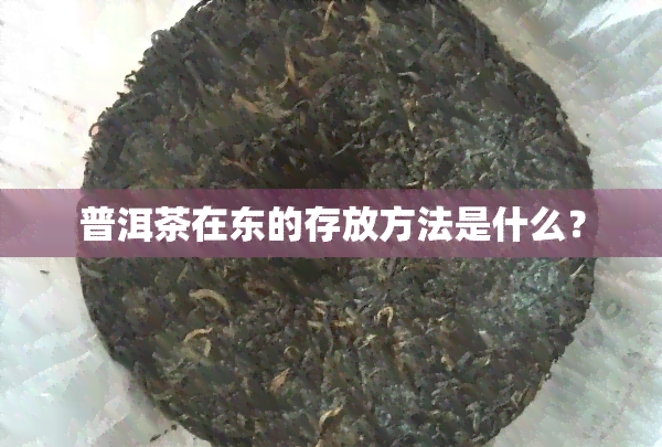 普洱茶在东的存放方法是什么？