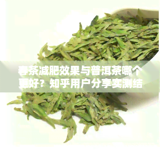 春茶减肥效果与普洱茶哪个更好？知乎用户分享实测结果与推荐