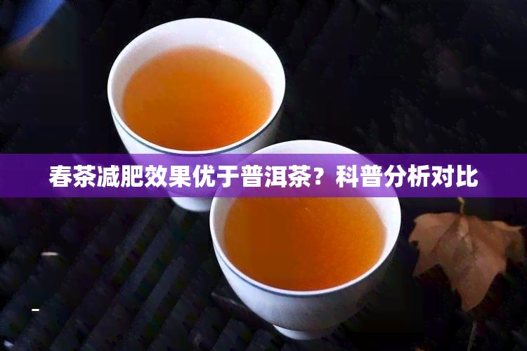 春茶减肥效果优于普洱茶？科普分析对比