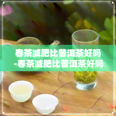 春茶减肥比普洱茶好吗-春茶减肥比普洱茶好吗知乎