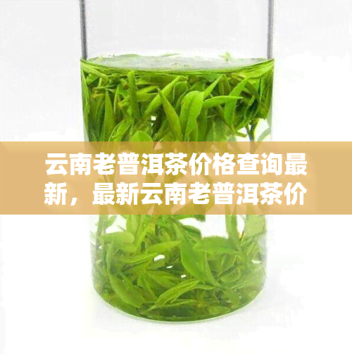 云南老普洱茶价格查询最新，最新云南老普洱茶价格查询：一探究竟！