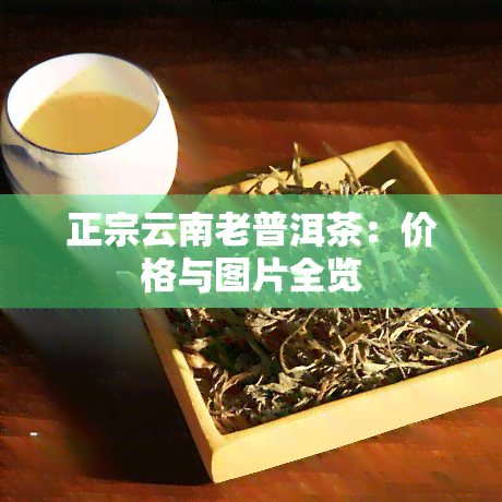 正宗云南老普洱茶：价格与图片全览