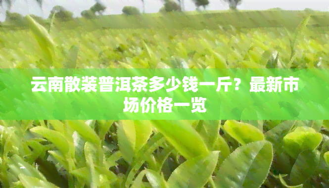 云南散装普洱茶多少钱一斤？最新市场价格一览