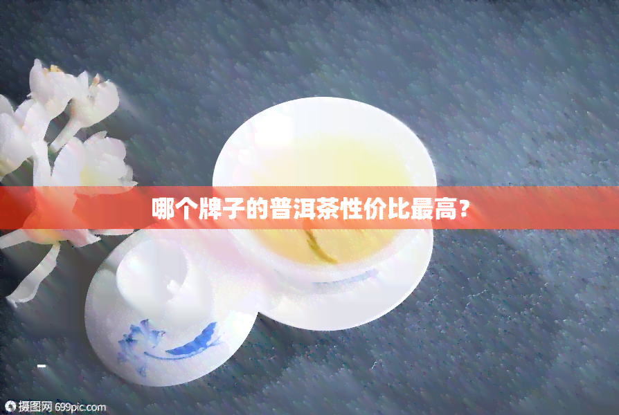 哪个牌子的普洱茶性价比更高？