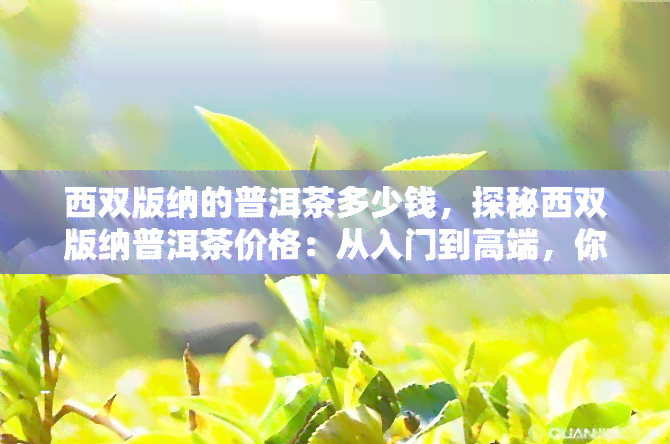 西双版纳的普洱茶多少钱，探秘西双版纳普洱茶价格：从入门到高端，你需要知道的一切