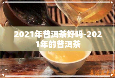 2021年普洱茶好吗-2021年的普洱茶