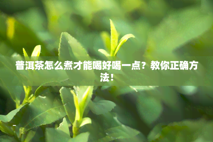 普洱茶怎么煮才能喝好喝一点？教你正确方法！