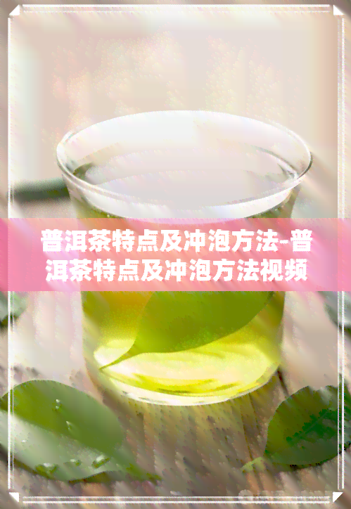 普洱茶特点及冲泡方法-普洱茶特点及冲泡方法视频