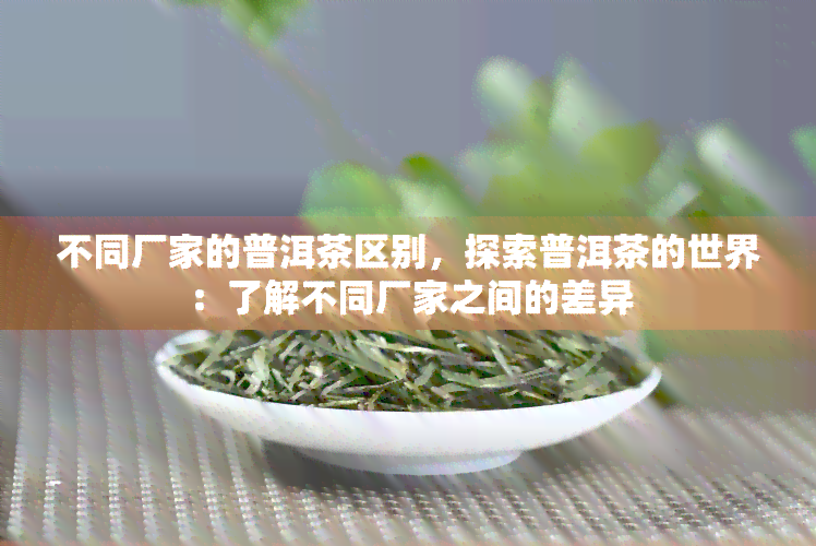 不同厂家的普洱茶区别，探索普洱茶的世界：了解不同厂家之间的差异