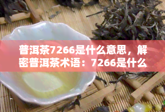 普洱茶7266是什么意思，解密普洱茶术语：7266是什么意思？