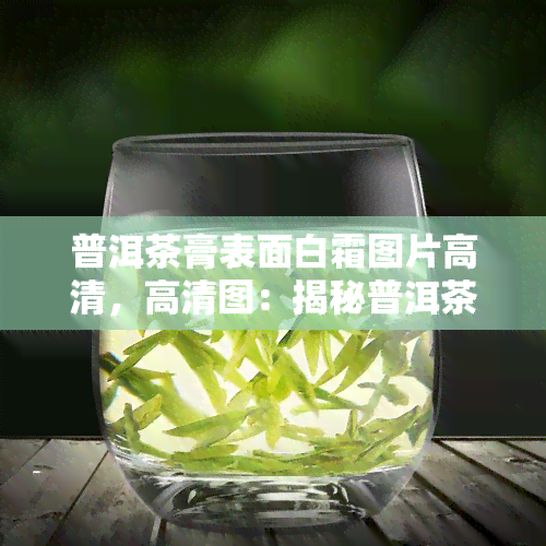 普洱茶膏表面白霜图片高清，高清图：揭秘普洱茶膏表面白霜的形成原因与特点