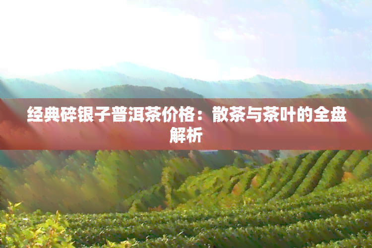 经典碎银子普洱茶价格：散茶与茶叶的全盘解析