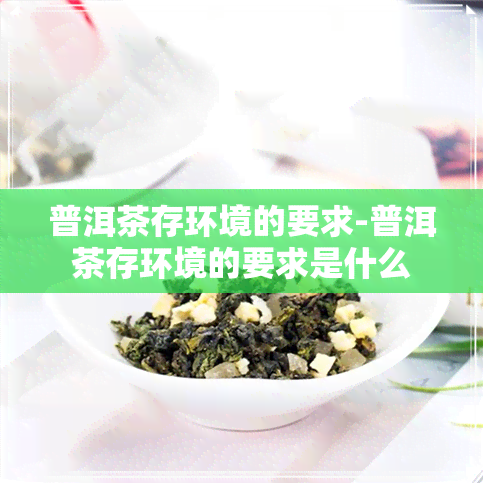 普洱茶存环境的要求-普洱茶存环境的要求是什么