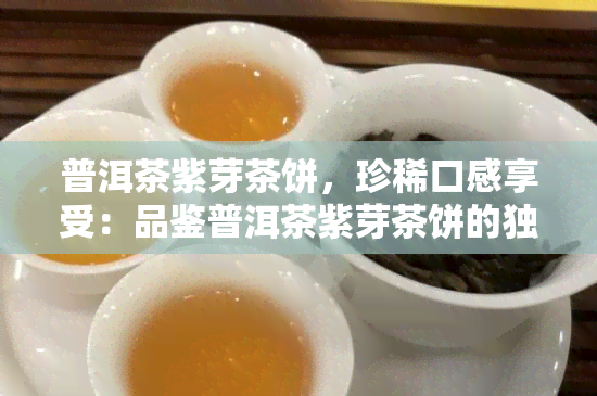 普洱茶紫芽茶饼，珍稀口感享受：品鉴普洱茶紫芽茶饼的独特魅力