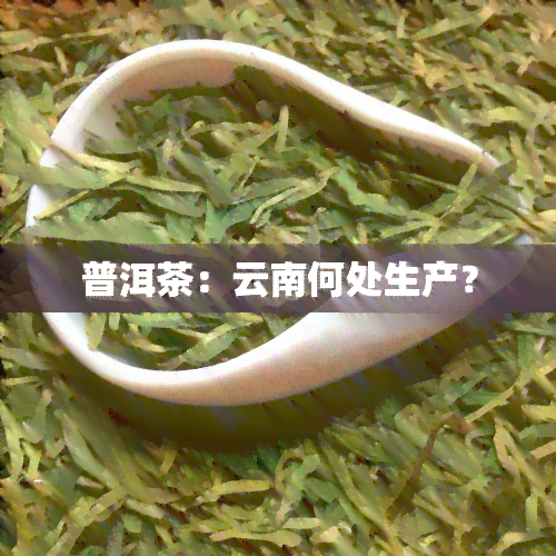 普洱茶：云南何处生产？