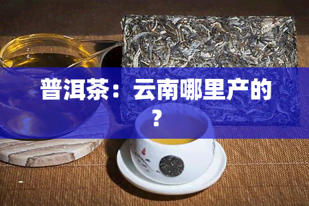 普洱茶：云南哪里产的？