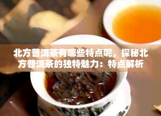 北方普洱茶有哪些特点呢，探秘北方普洱茶的独特魅力：特点解析