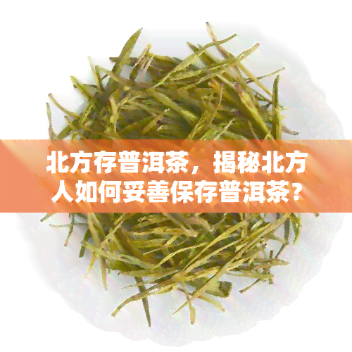 北方存普洱茶，揭秘北方人如何妥善保存普洱茶？