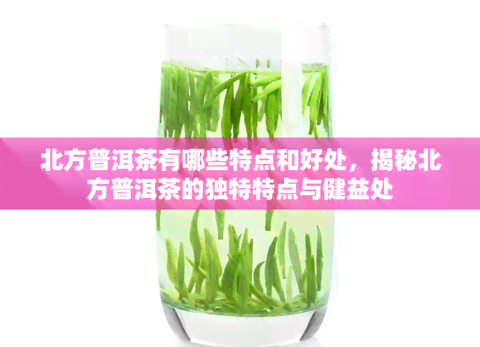 北方普洱茶有哪些特点和好处，揭秘北方普洱茶的独特特点与健益处