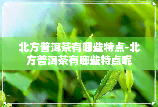 北方普洱茶有哪些特点-北方普洱茶有哪些特点呢