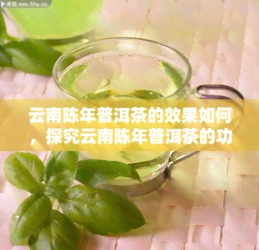 云南陈年普洱茶的效果如何，探究云南陈年普洱茶的功效与作用