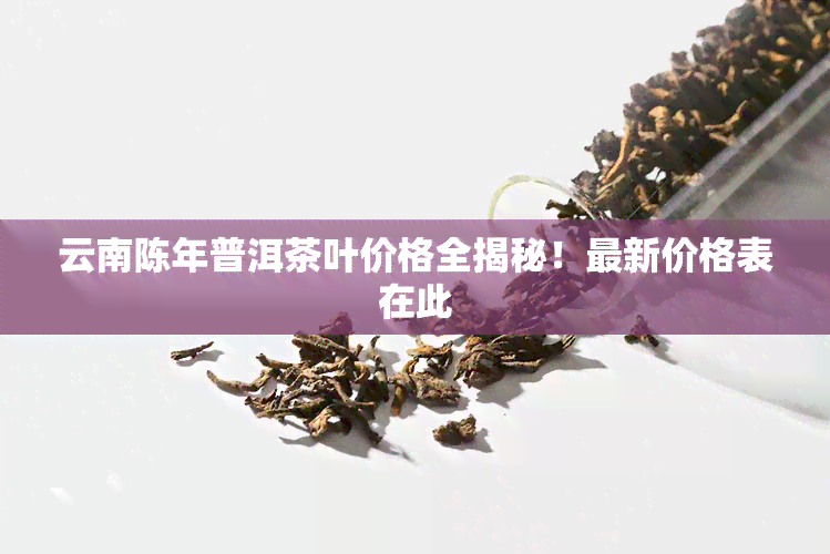 云南陈年普洱茶叶价格全揭秘！最新价格表在此