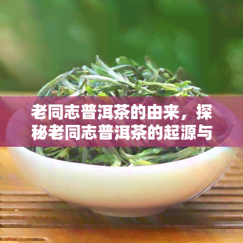 老同志普洱茶的由来，探秘老同志普洱茶的起源与演变