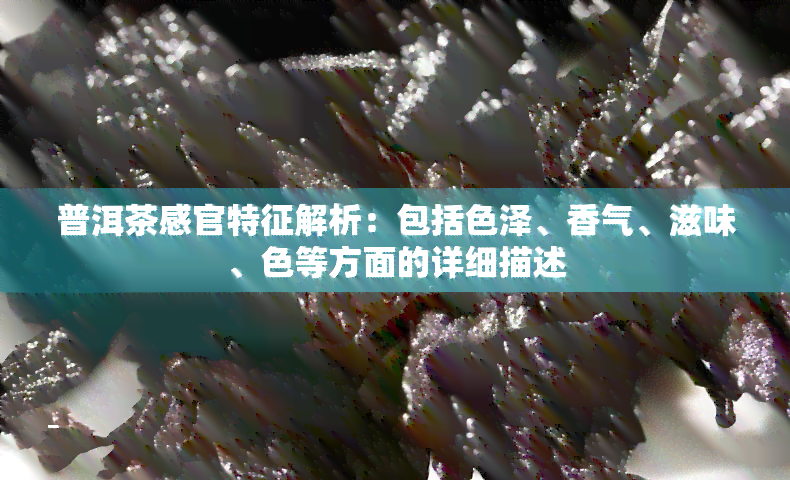 普洱茶感官特征解析：包括色泽、香气、滋味、色等方面的详细描述