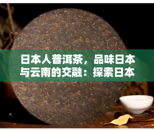 人普洱茶，品味与云南的交融：探索人对普洱茶的热爱