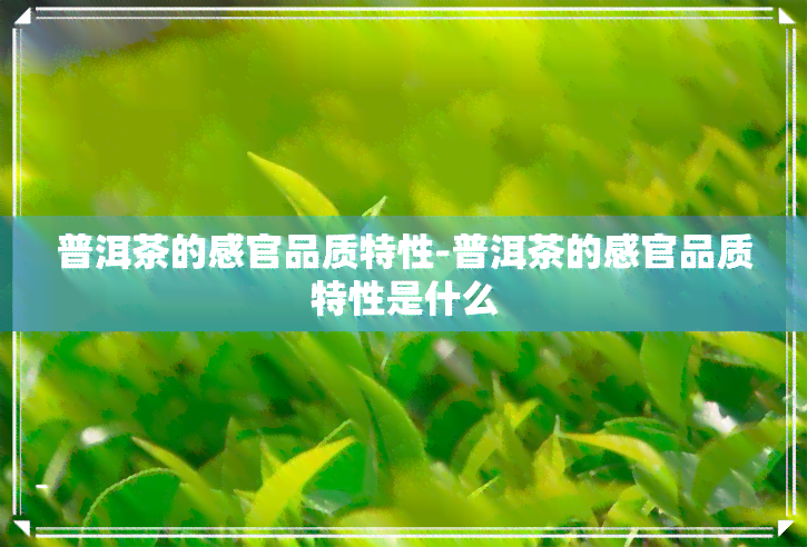 普洱茶的感官品质特性-普洱茶的感官品质特性是什么