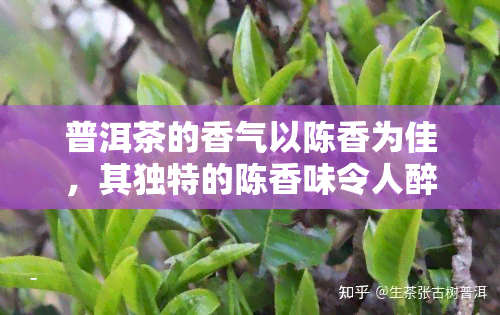 普洱茶的香气以陈香为佳，其独特的陈香味令人醉。