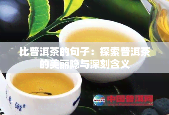 比普洱茶的句子：探索普洱茶的美丽隐与深刻含义