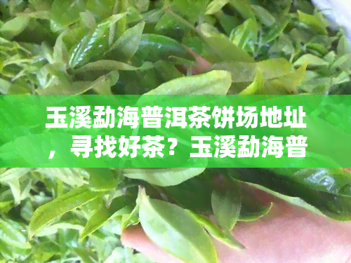 玉溪勐海普洱茶饼场地址，寻找好茶？玉溪勐海普洱茶饼场地址全攻略！