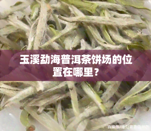 玉溪勐海普洱茶饼场的位置在哪里？