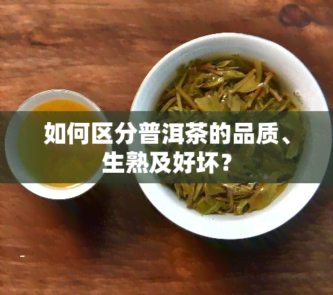 如何区分普洱茶的品质、生熟及好坏？