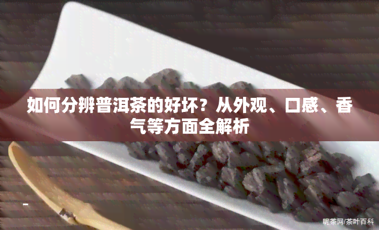 如何分辨普洱茶的好坏？从外观、口感、香气等方面全解析