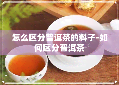 怎么区分普洱茶的料子-如何区分普洱茶