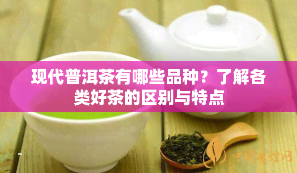 现代普洱茶有哪些品种？了解各类好茶的区别与特点