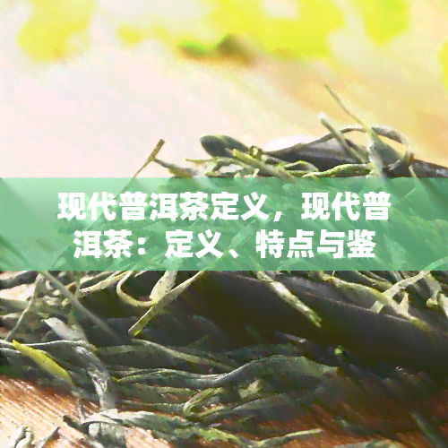 现代普洱茶定义，现代普洱茶：定义、特点与鉴